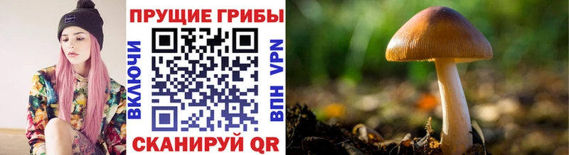 Галлюциногенные грибы ЛСД  Купить где  Звенигород 